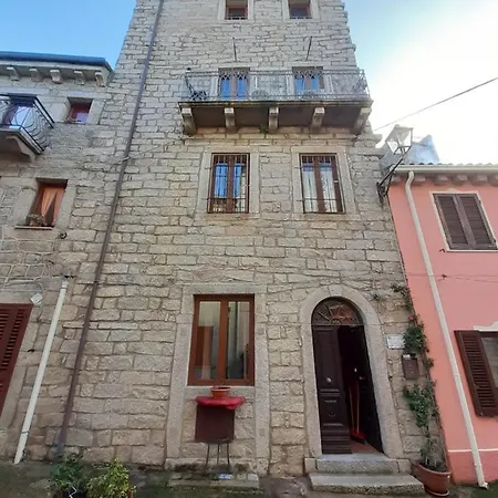 Casa Lauras, The Old Tree's House Luras
